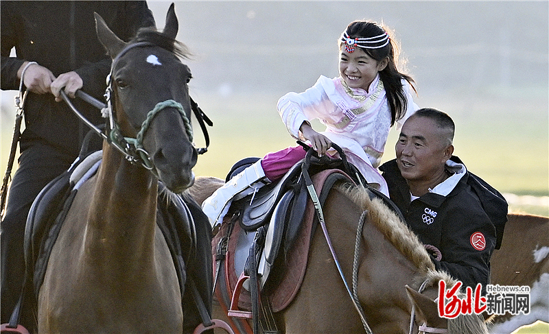 骑乘收费, 多亿元, 收入自然水 骑乘收费, 多亿元, 收入自然水
