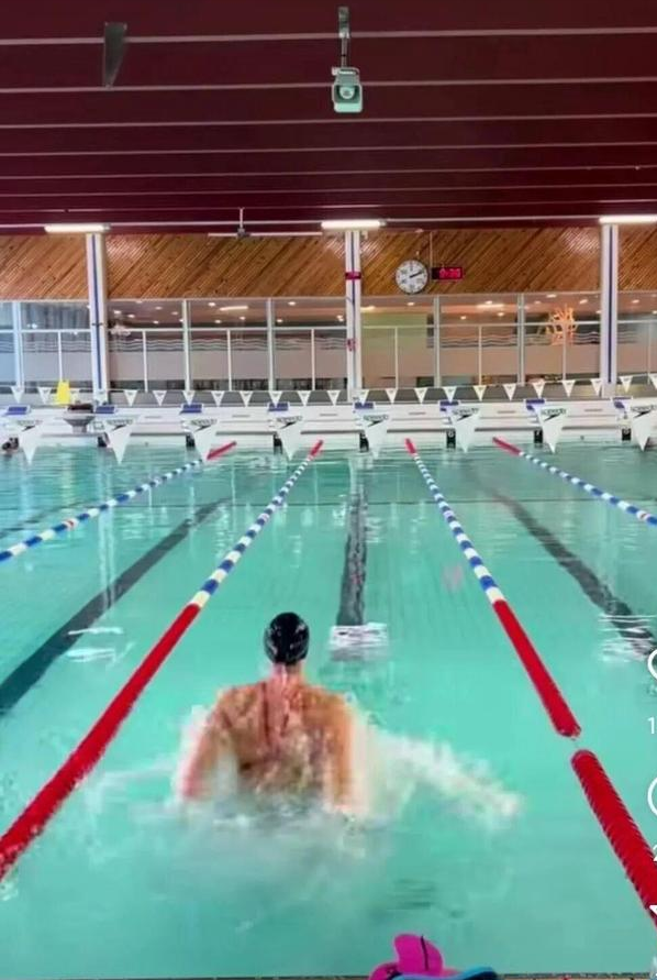 米蝶泳世界, 牌和, 在这之前