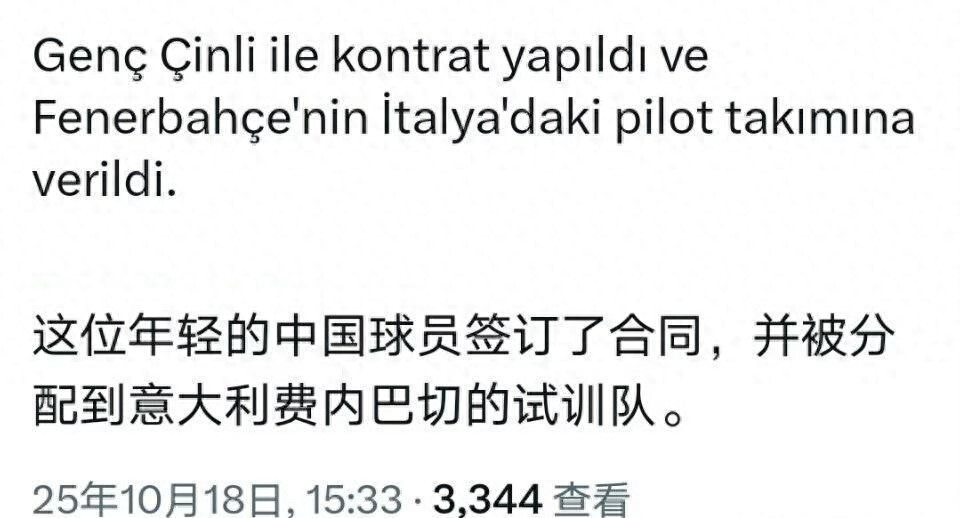 与费内巴切, SNl, 分配到意甲 与费内巴切, SNl, 分配到意甲