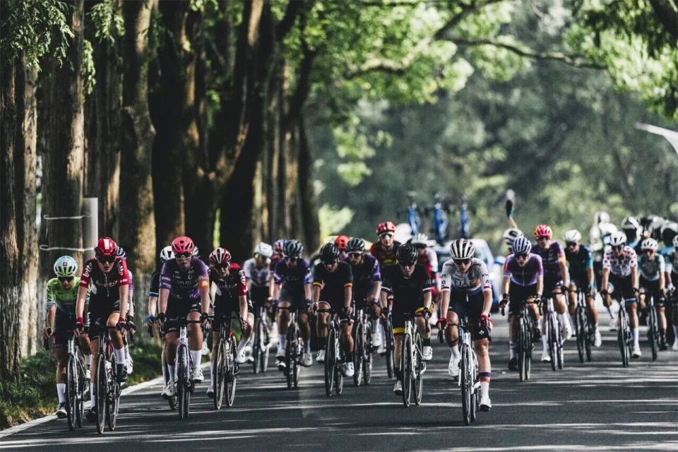 的建设, 拍品全部成, 氛围蓬勃发 的建设, 拍品全部成, 氛围蓬勃发