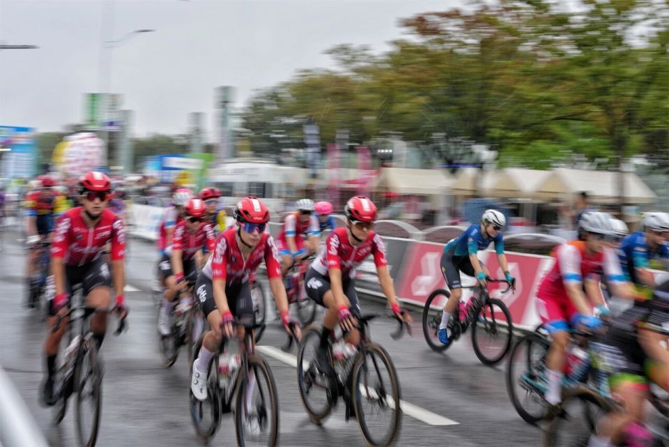 com, 年大学毕业 com, 年大学毕业